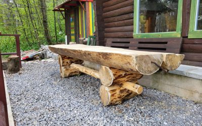 8.6.2025. SKLONIŠTE BITORAJKA radna akcija ili izlet